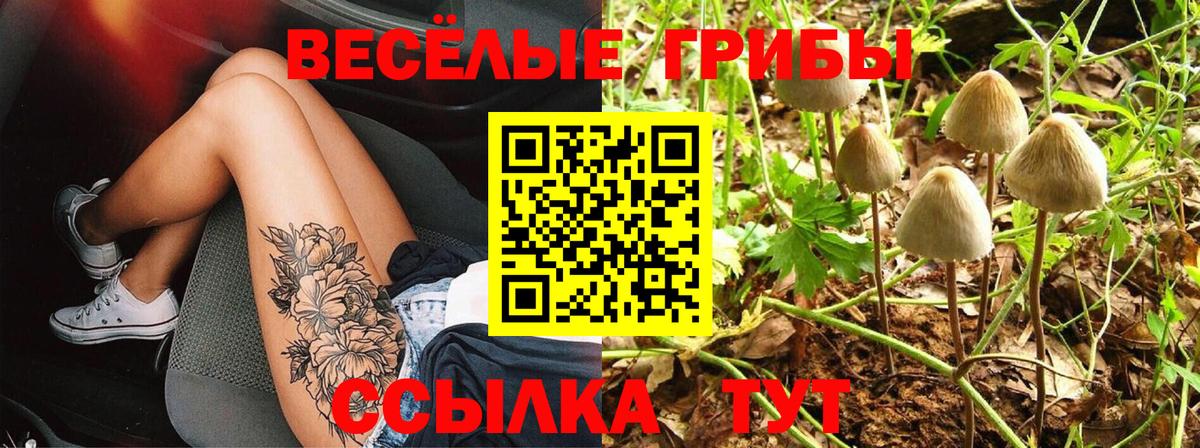 Галлюциногенные грибы GOLDEN TEACHER Пенза