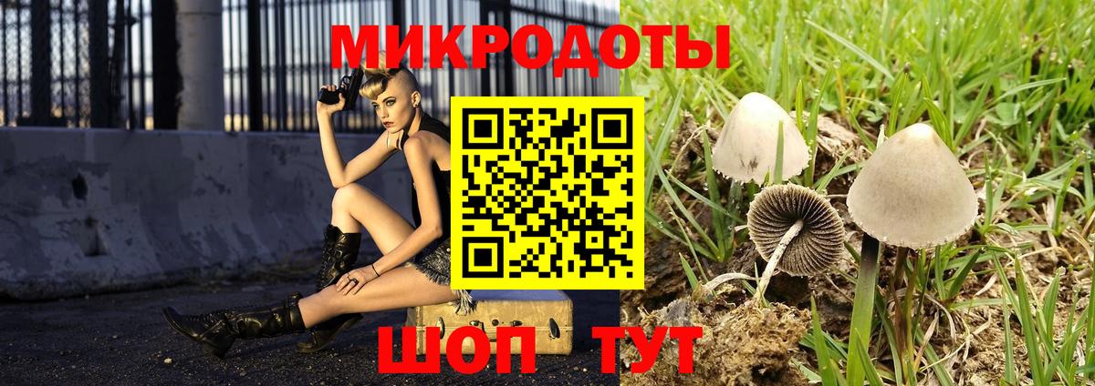 Пенза  Псилоцибиновые грибы мицелий  Вход с VPN 